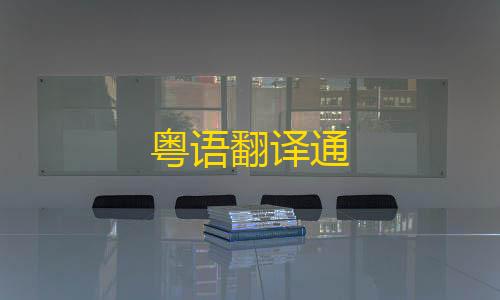 全网科技低价货源辅助粤语翻译通